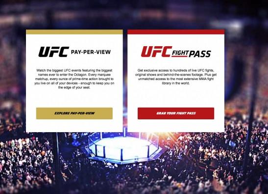 UFC 238