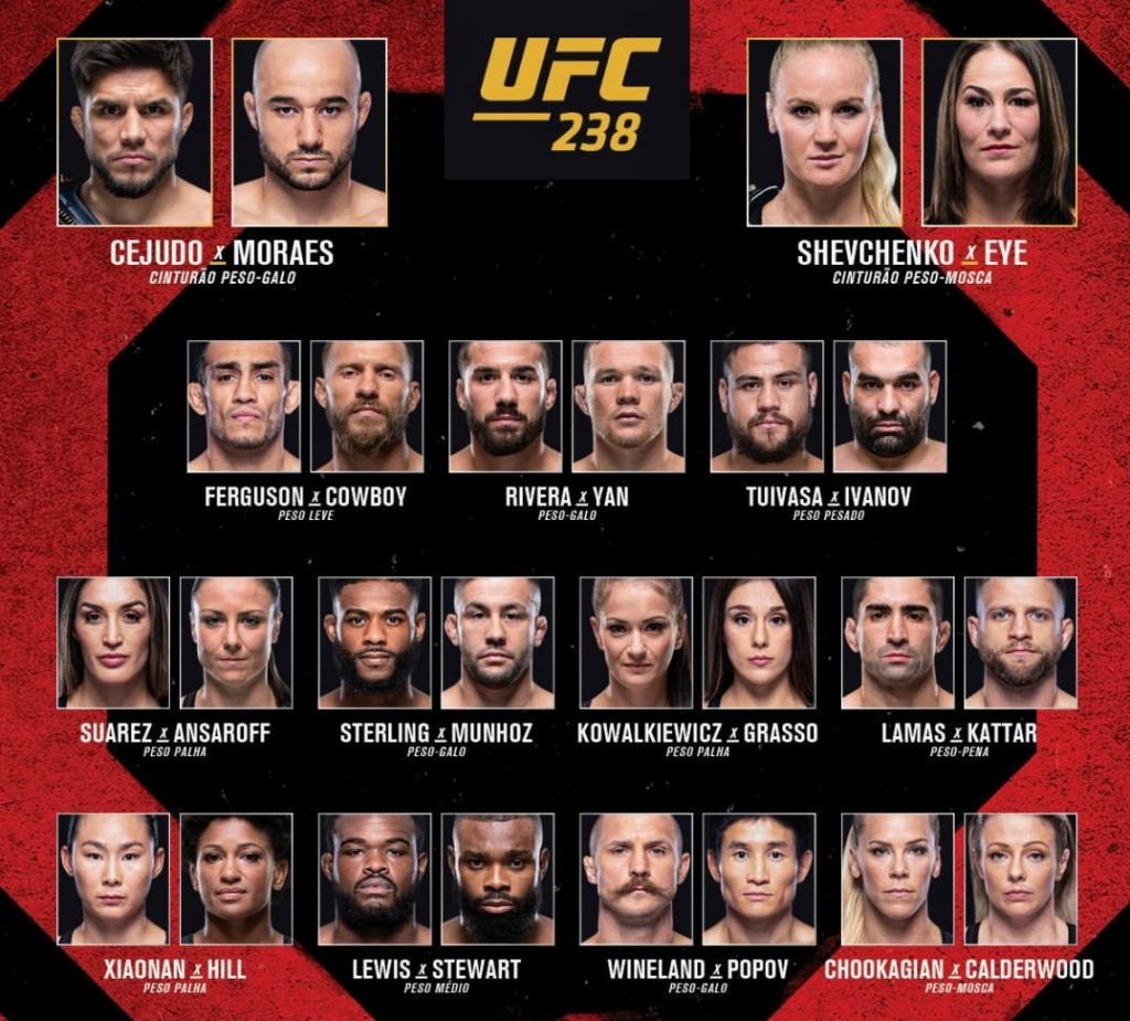 UFC 238
