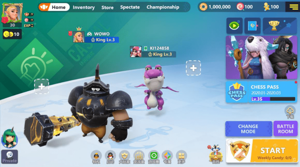 Auto Chess
