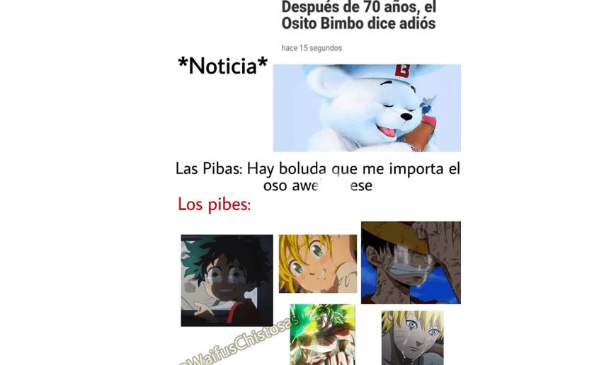 bimbo estos son los mejores memes y reacciones tras el adios del osito bimbo aweita la republica del osito bimbo aweita