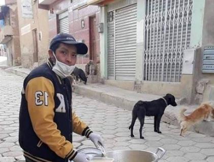 joven alimenta perros abandonados joven alimenta perros abandonados