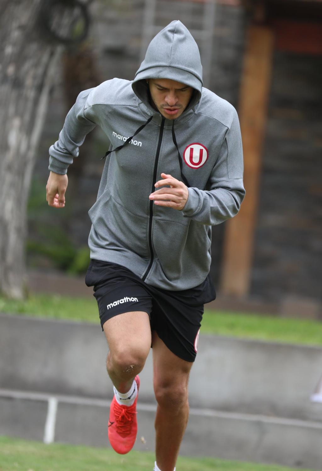Universitario