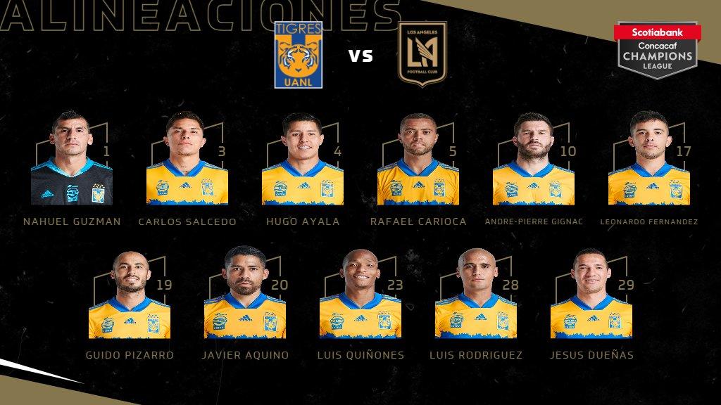 tigres