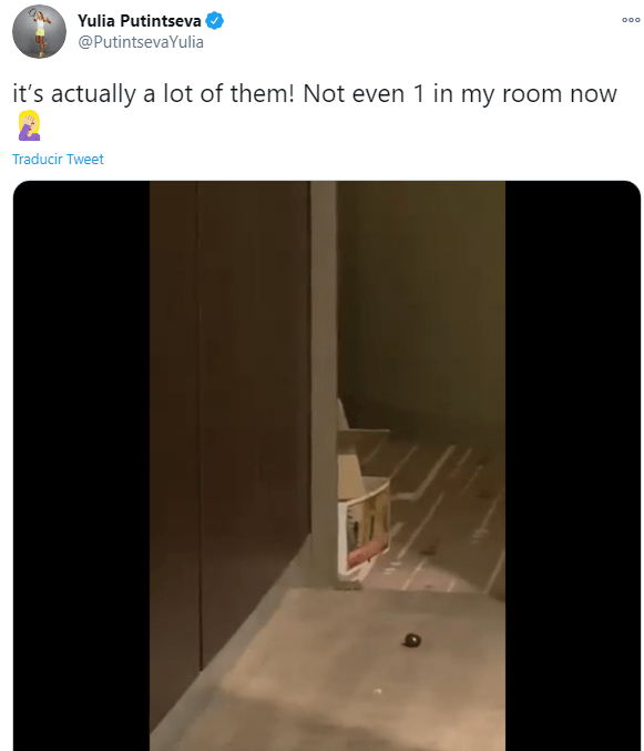 adada adada