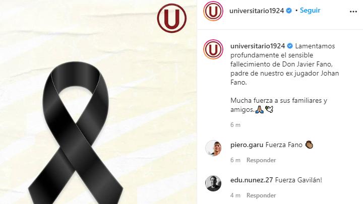 universitario